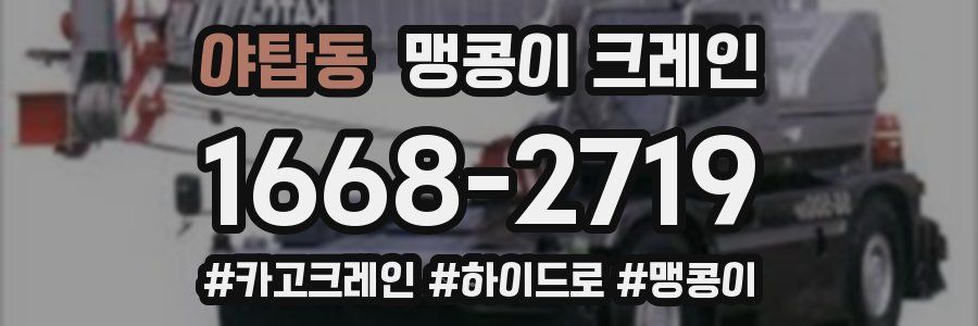 야탑동 맹콩이 크레인