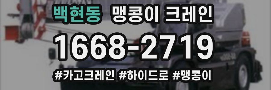 백현동 맹콩이 크레인