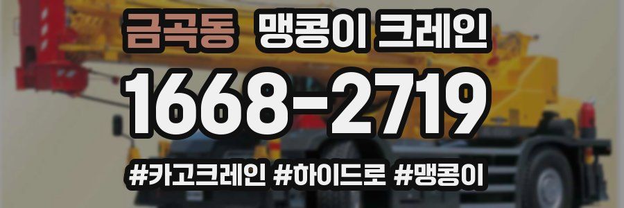 금곡동 맹콩이 크레인