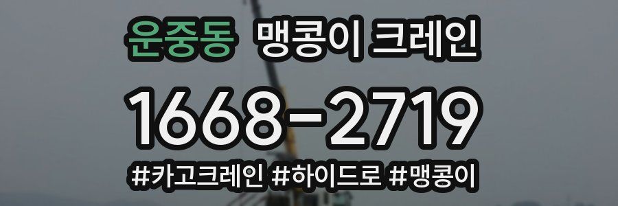 운중동 맹콩이 크레인