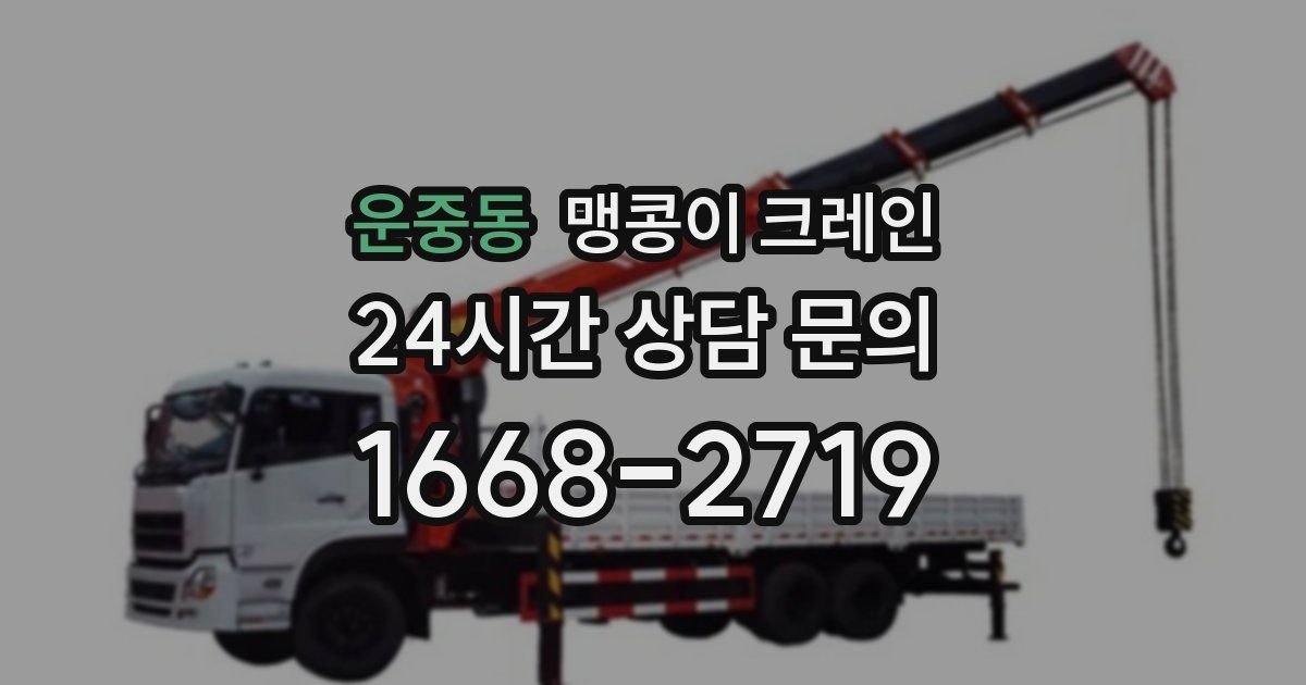 운중동 맹콩이 크레인