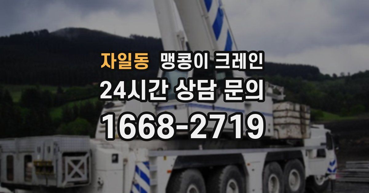 자일동 맹콩이 크레인