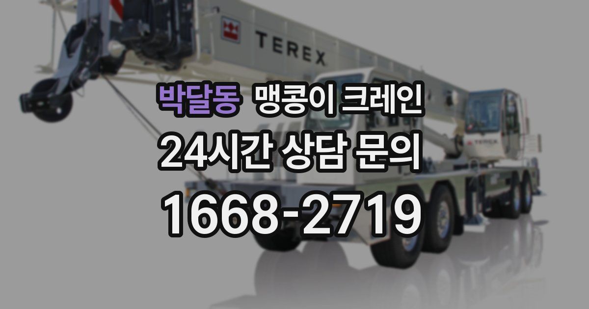 박달동 맹콩이 크레인