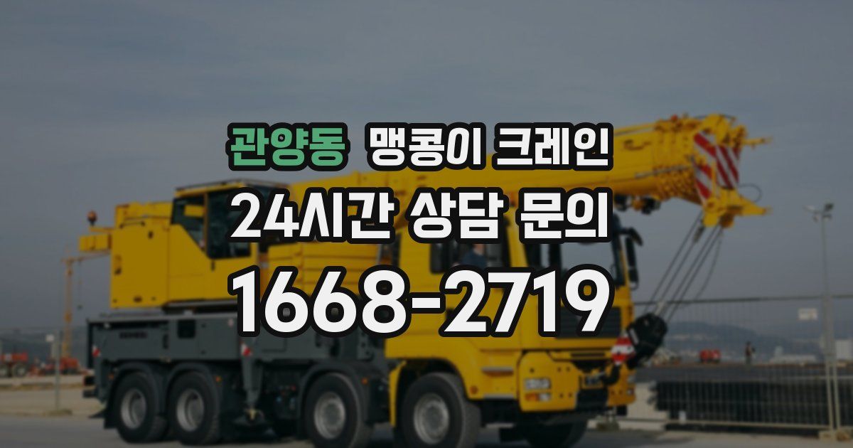 관양동 맹콩이 크레인