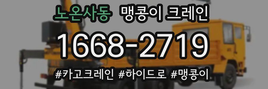 노온사동 맹콩이 크레인