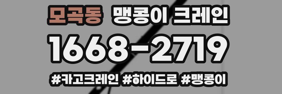 모곡동 맹콩이 크레인