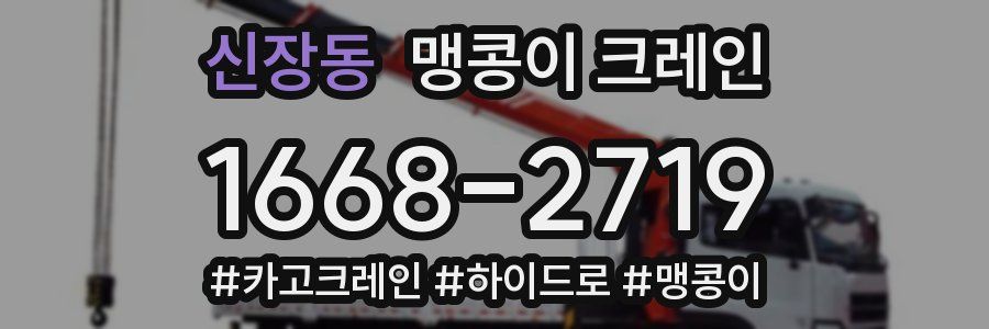 신장동 맹콩이 크레인