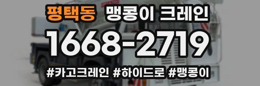 평택동 맹콩이 크레인