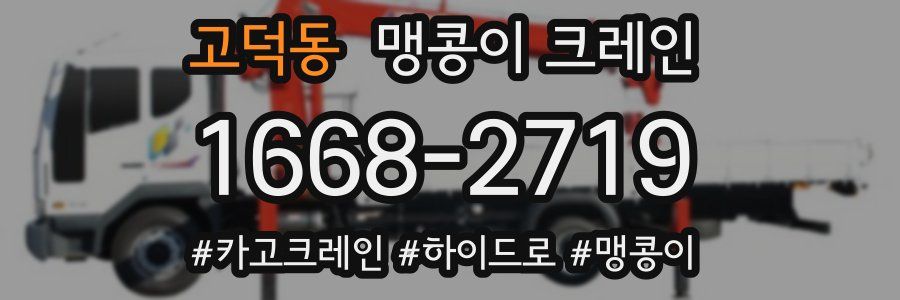 고덕동 맹콩이 크레인