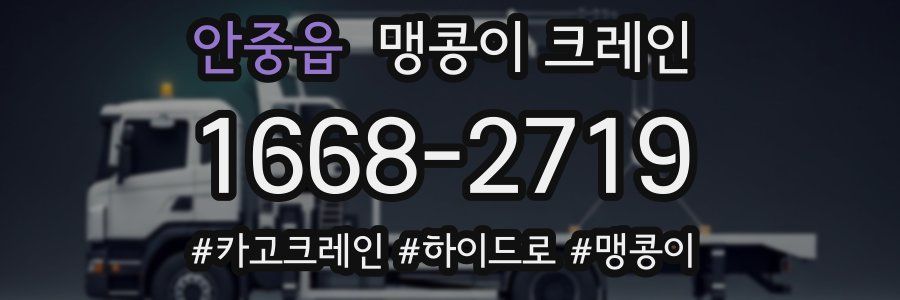 안중읍 맹콩이 크레인