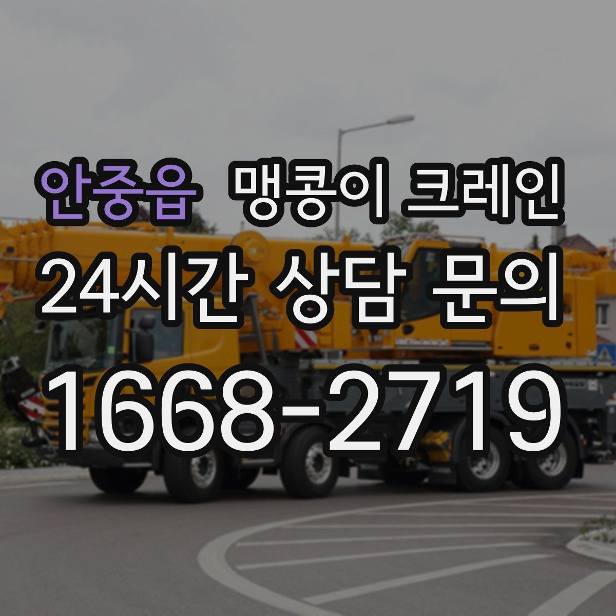 안중읍 맹콩이 크레인