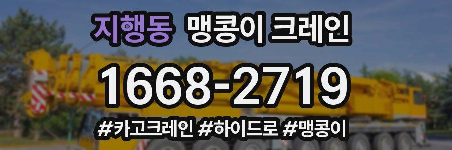 지행동 맹콩이 크레인