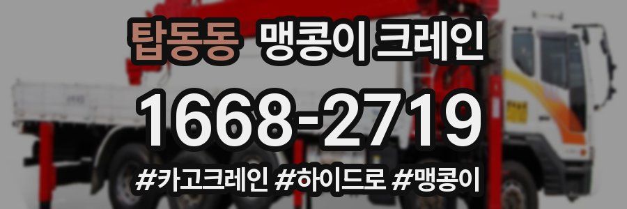 탑동동 맹콩이 크레인