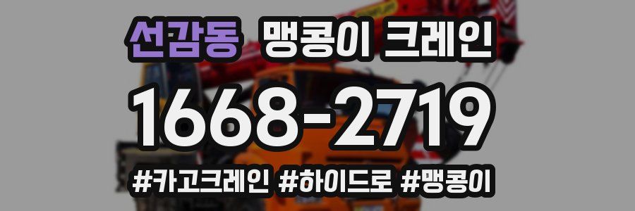 선감동 맹콩이 크레인
