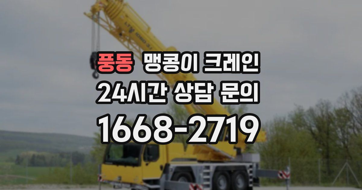 풍동 맹콩이 크레인