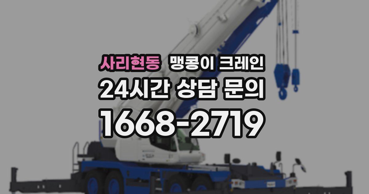 사리현동 맹콩이 크레인