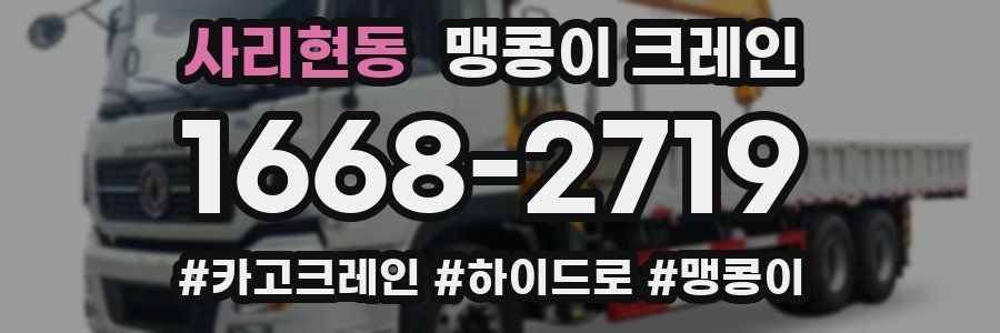 사리현동 맹콩이 크레인