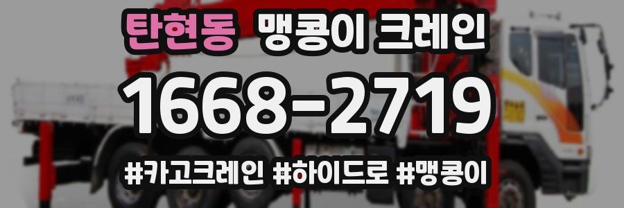 탄현동 맹콩이 크레인