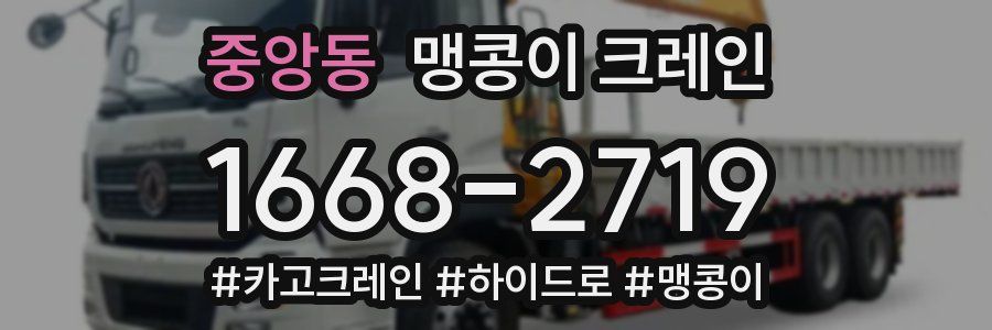 중앙동 맹콩이 크레인