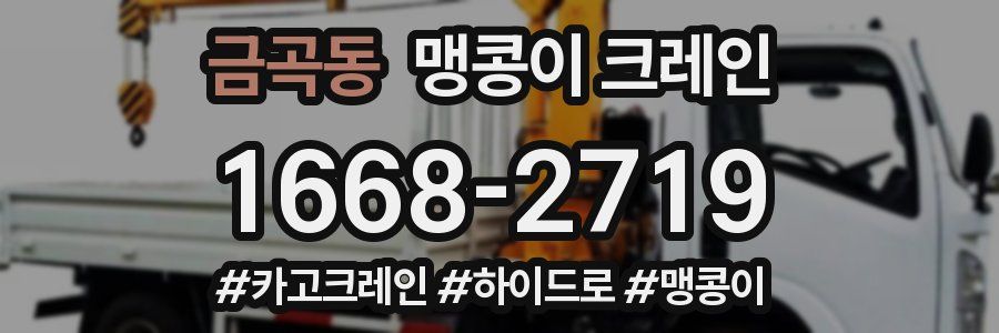 금곡동 맹콩이 크레인