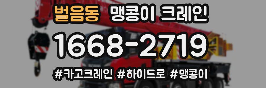 벌음동 맹콩이 크레인