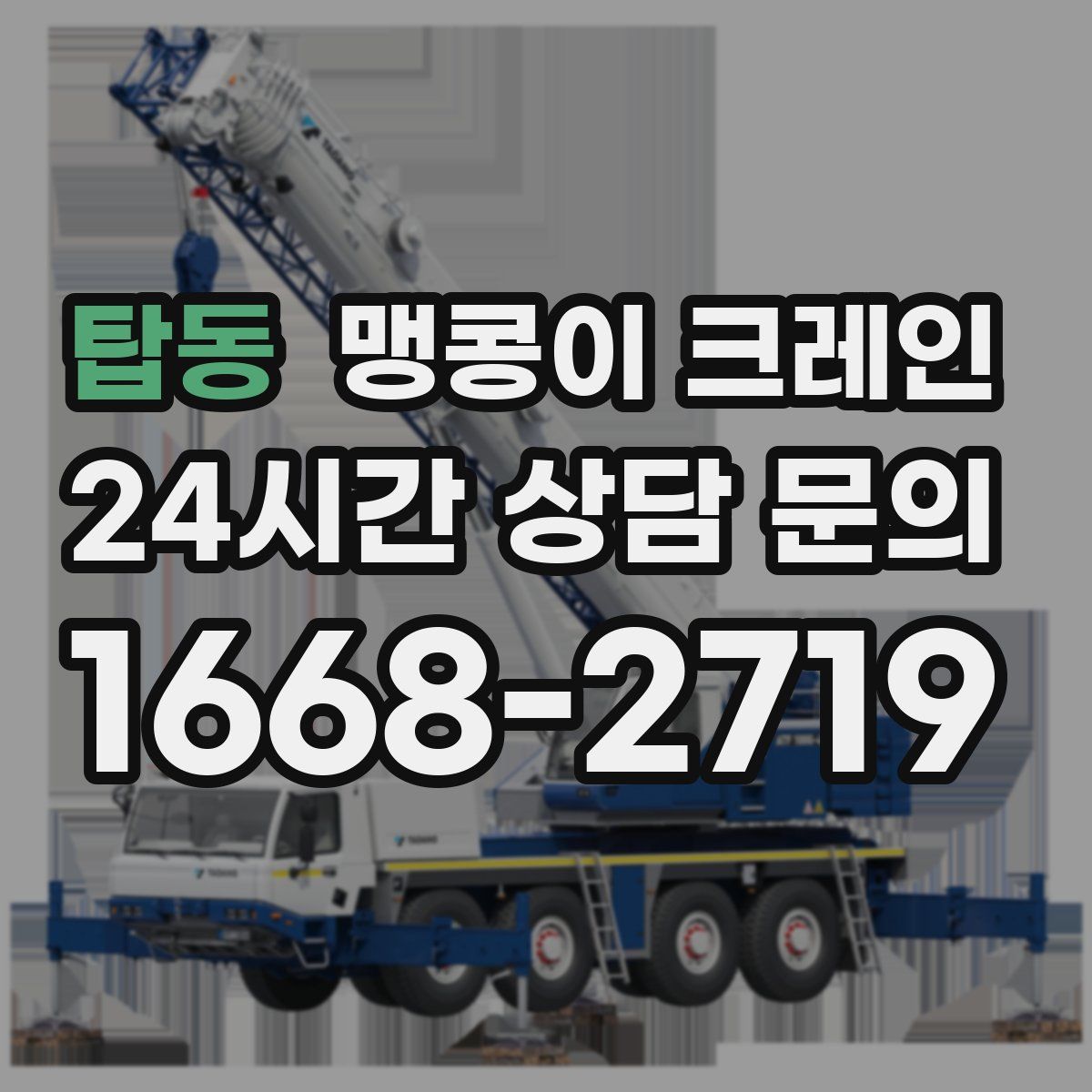 탑동 맹콩이 크레인