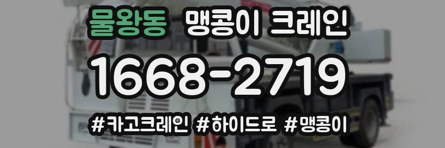 물왕동 맹콩이 크레인