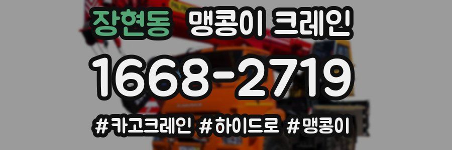 장현동 맹콩이 크레인