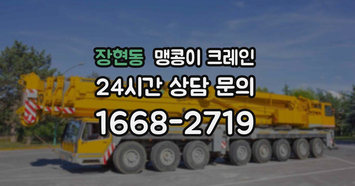 장현동 맹콩이 크레인