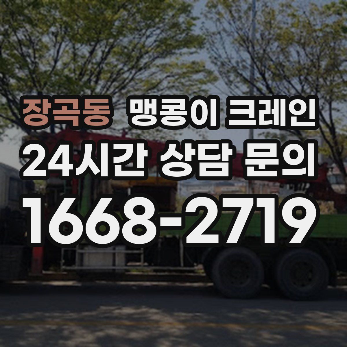 장곡동 맹콩이 크레인