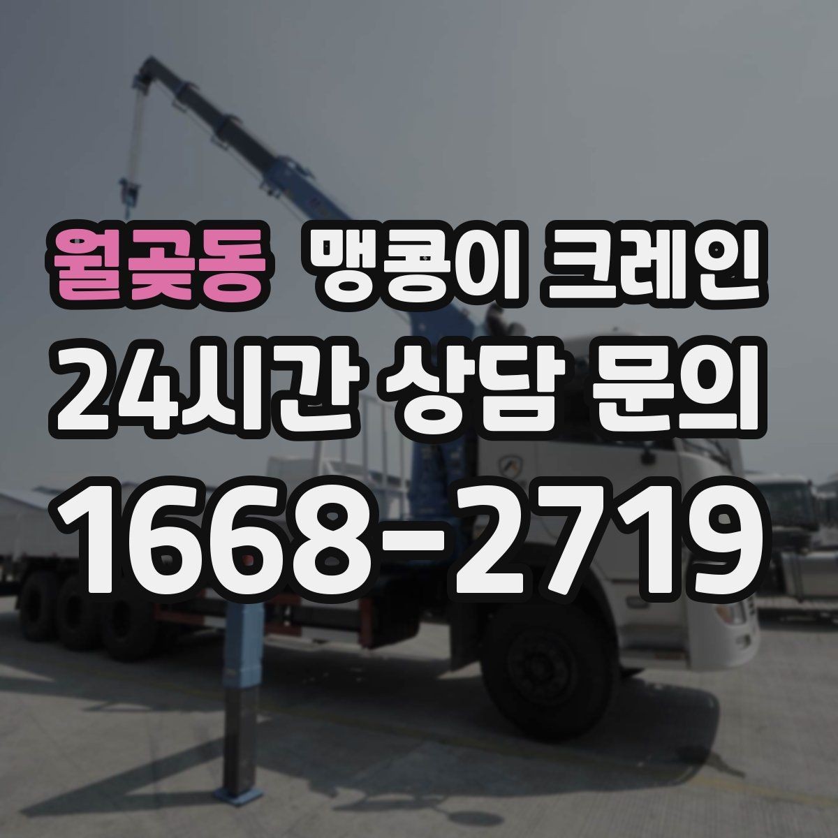 월곶동 맹콩이 크레인 출입구 높이가 낮을 때 가능한 작업 범위