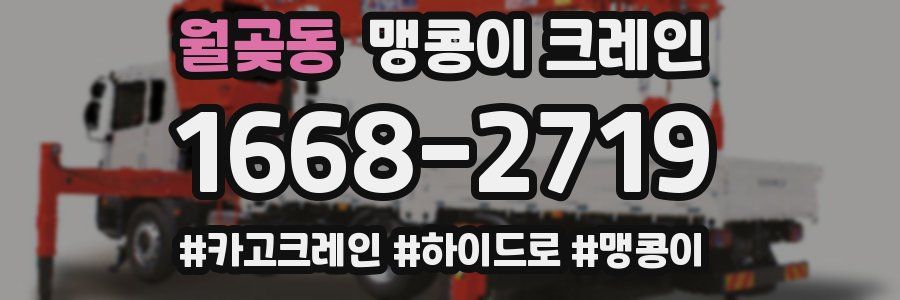 월곶동 맹콩이 크레인