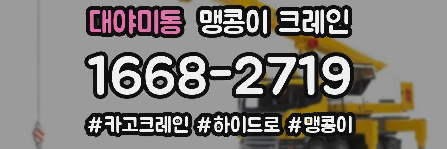 대야미동 맹콩이 크레인