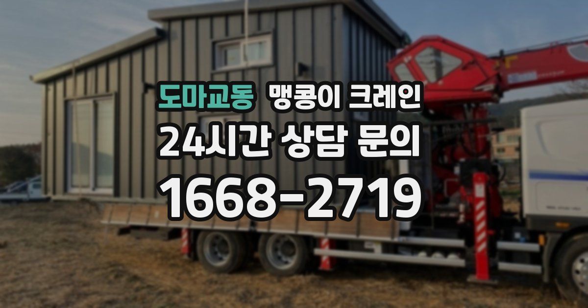 도마교동 맹콩이 크레인