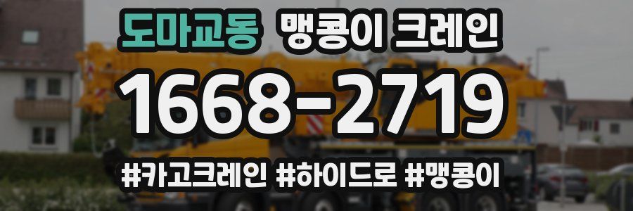 도마교동 맹콩이 크레인
