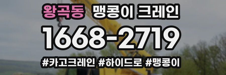 왕곡동 맹콩이 크레인
