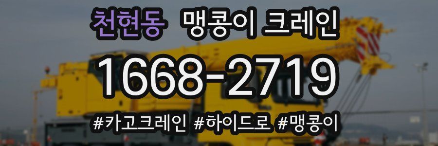 천현동 맹콩이 크레인