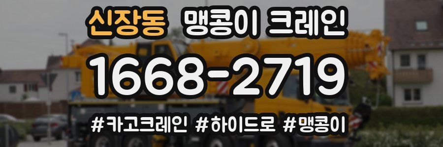 신장동 맹콩이 크레인
