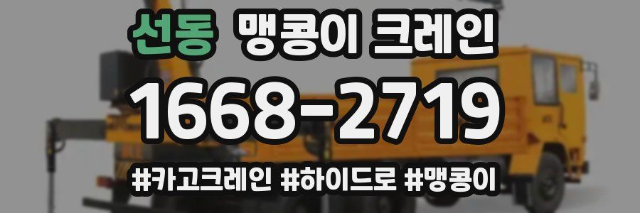 선동 맹콩이 크레인