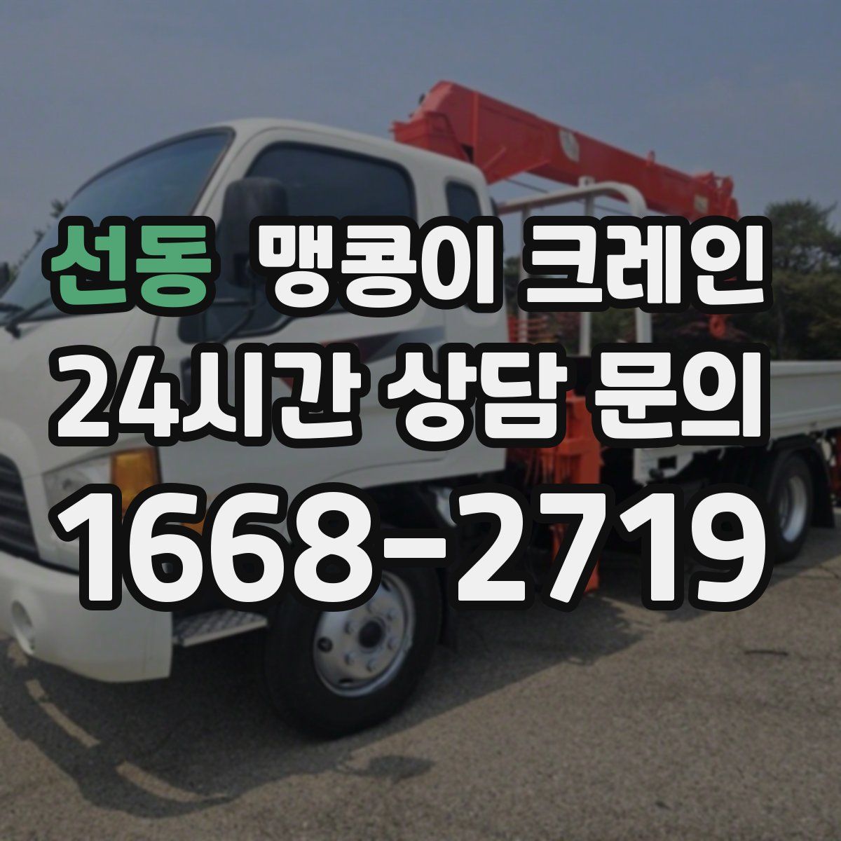 선동 맹콩이 크레인