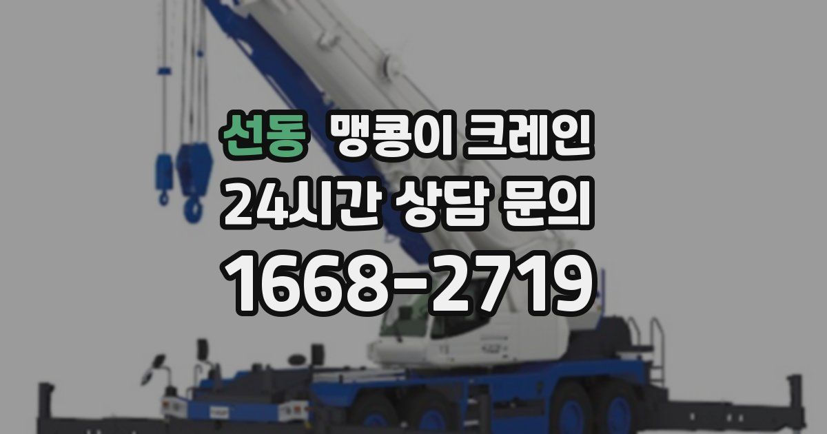 선동 맹콩이 크레인
