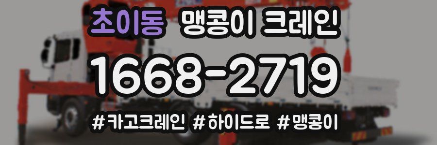 초이동 맹콩이 크레인