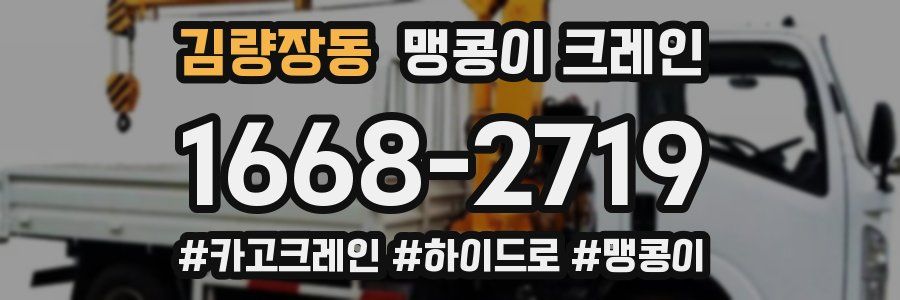김량장동 맹콩이 크레인