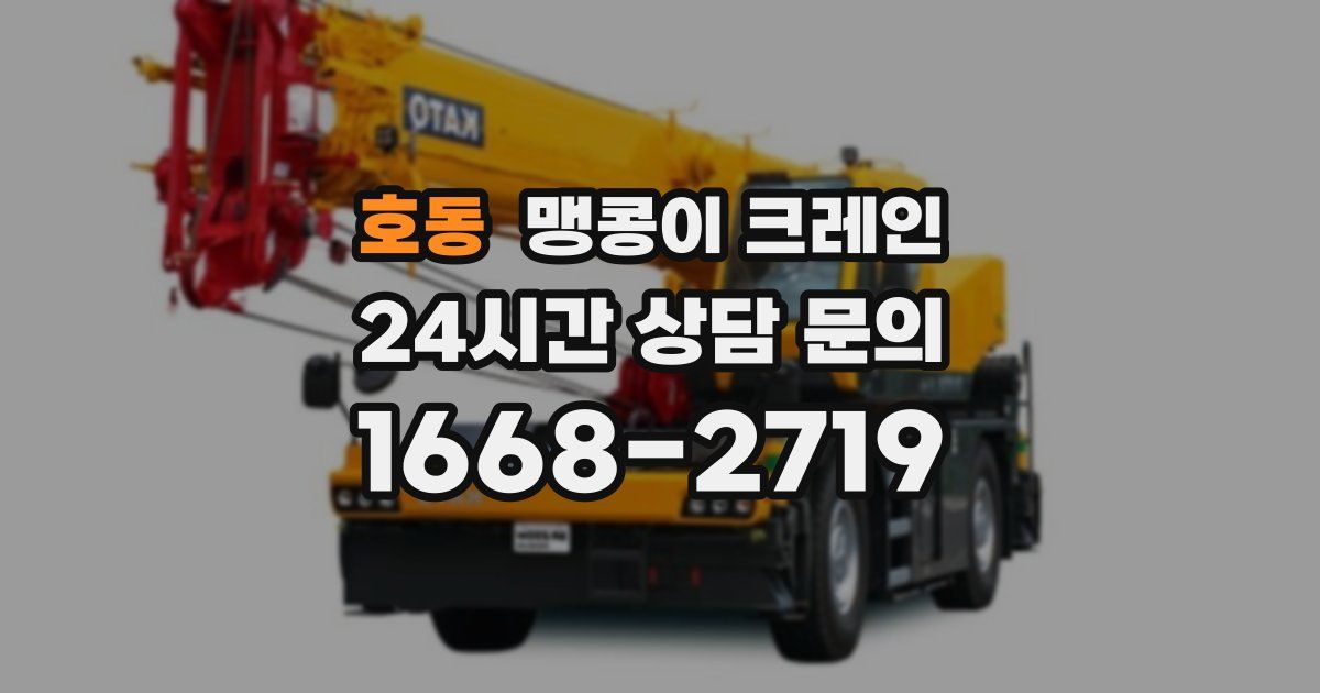 호동 맹콩이 크레인