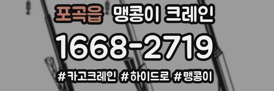 포곡읍 맹콩이 크레인