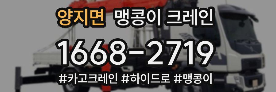 양지면 맹콩이 크레인