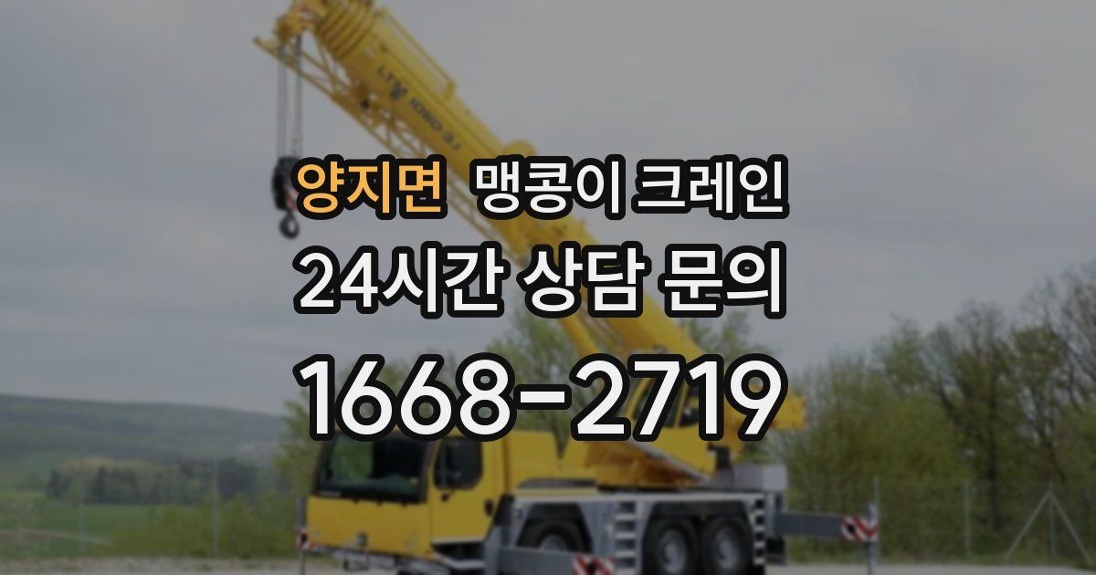 양지면 맹콩이 크레인