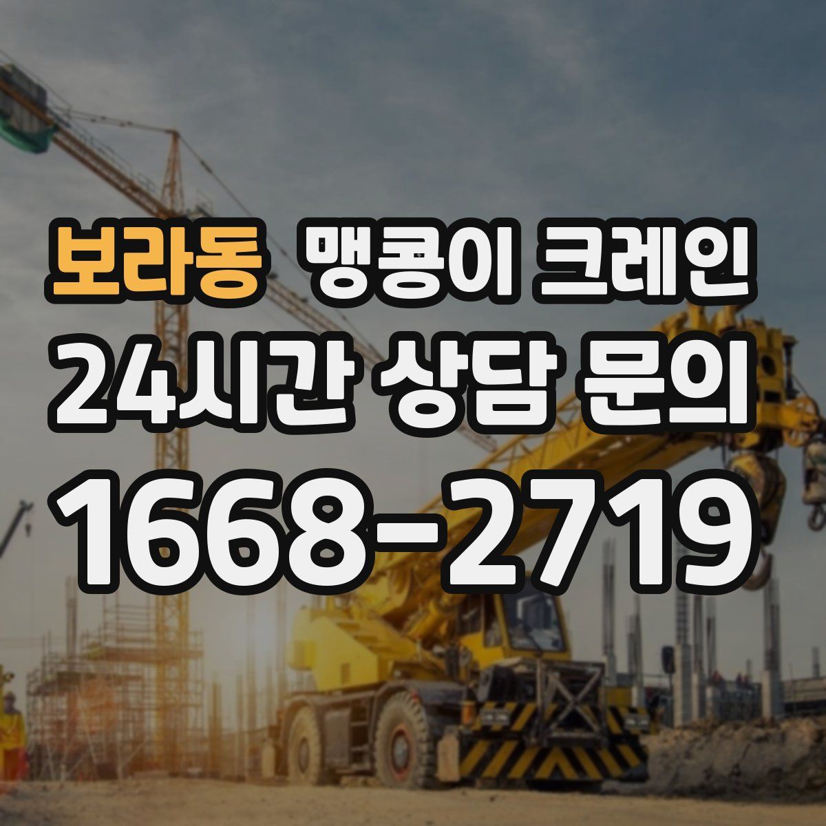 보라동 맹콩이 크레인
