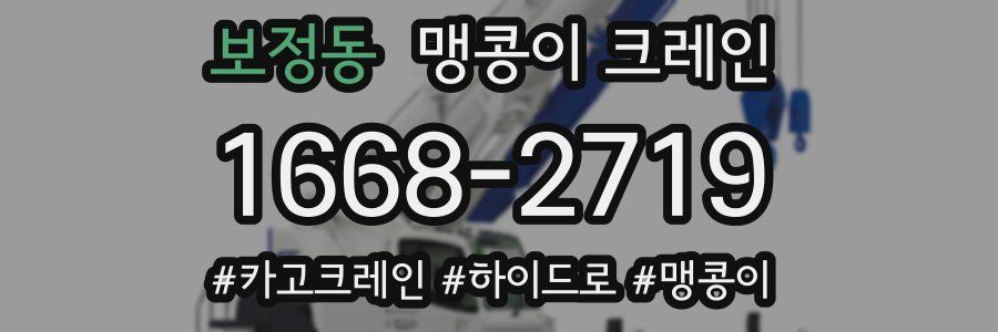 보정동 맹콩이 크레인