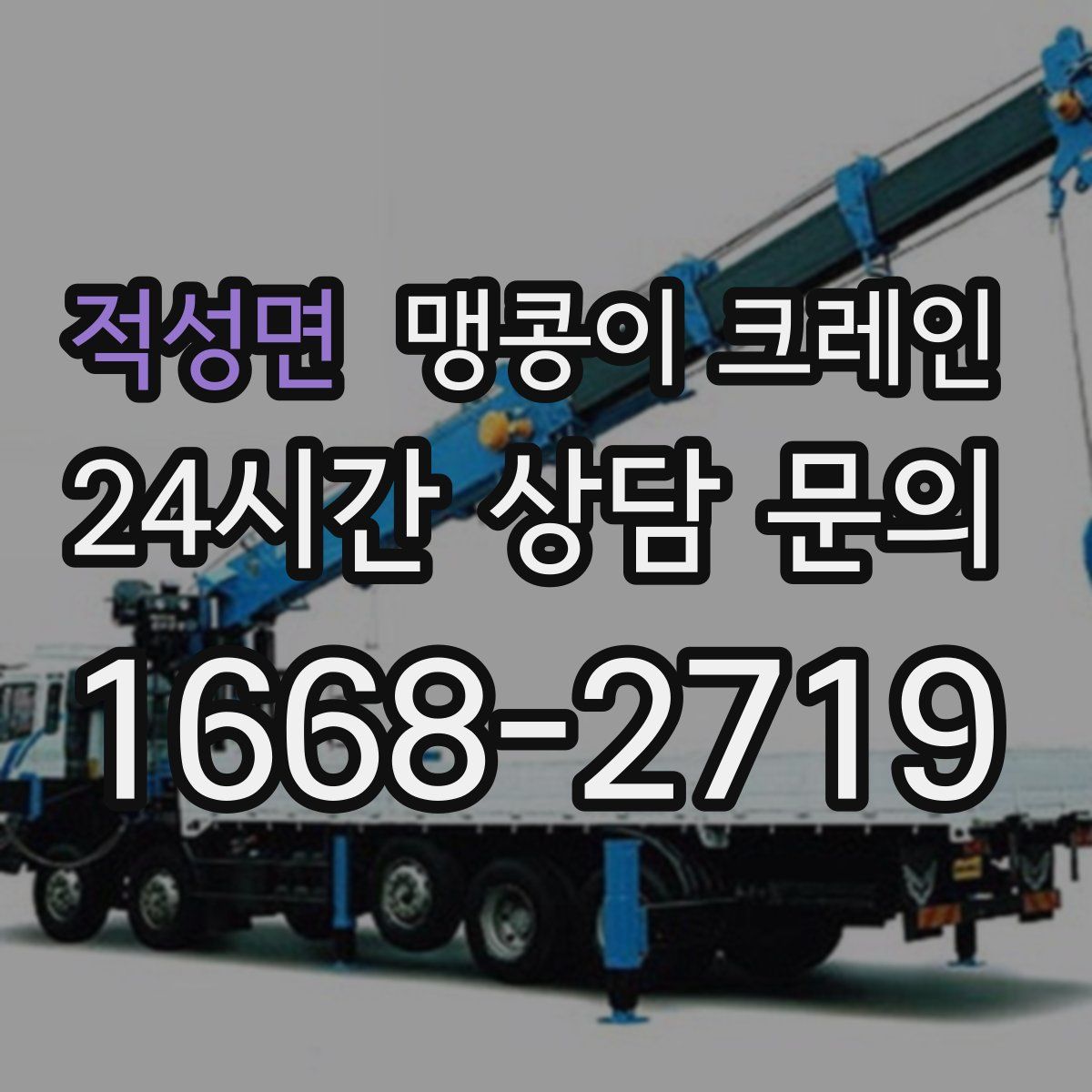 적성면 맹콩이 크레인